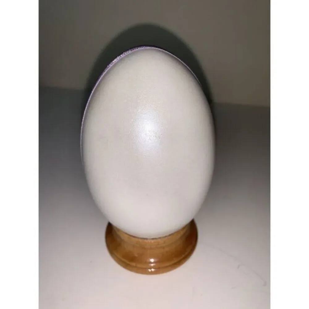 1991 Enesco Plastic Egg Easter Joanne Hunot‎ Pastels Butterfly